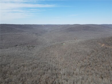 0 S Winfrey Valley Rd unit 1243483, Winslow, AR 72959 - photo 5