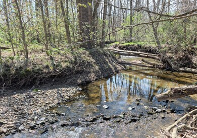 Stream