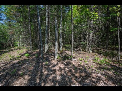 Lot 1 Memory Ln, Eagle River, WI 54521 - photo 7