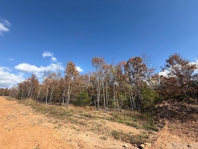 23 Summer Tyme Dr, Greenbrier, AR 72058 - photo 3