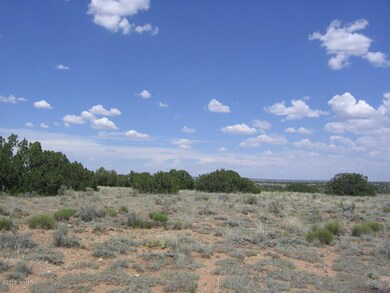 Rognlin 20 Acres 025 - Copy