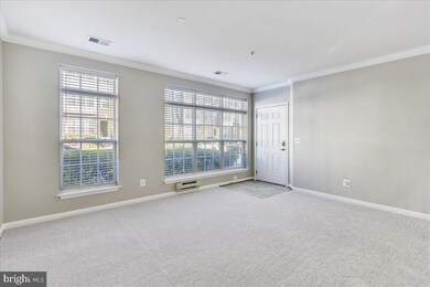 42593 Cardinal Trace Terrace, Ashburn, VA 20148 - photo 5