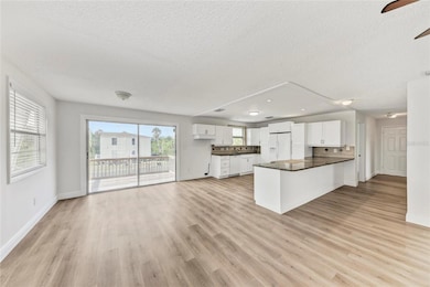 4233 5th Ave W, Palmetto, FL 34221 - photo 6