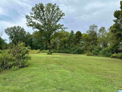 170 McCalla Rd, Bessemer, AL 35022 - photo 4