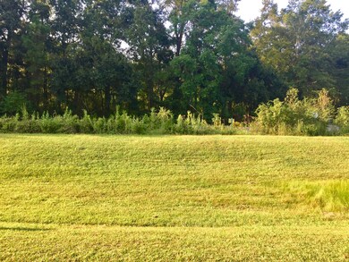 View from Front Porch