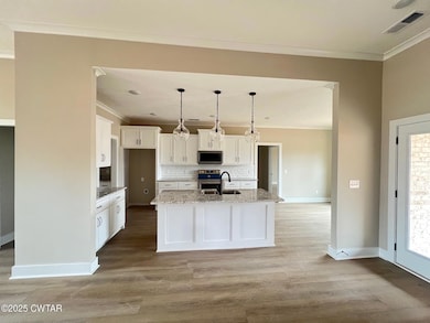 11 Burning Tree Cove, Jackson, TN 38305 - photo 7