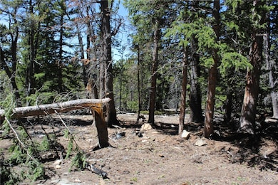 unlisted-address, Idaho Springs, CO 80436 - photo 2