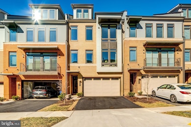 1807 Yellow Garnet Terrace SE, Leesburg, VA 20175 - photo 2