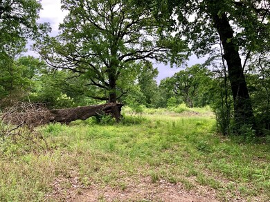 TBD Evans-Gann Rd, Lufkin, TX 75904 - photo 6