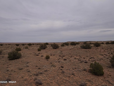 dji_fly_20250728_135456_856_175373610990