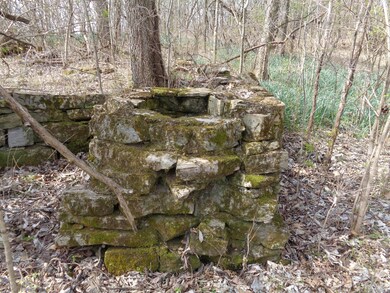 0 Seaville Rd, Willisburg, KY 40078 - photo 6