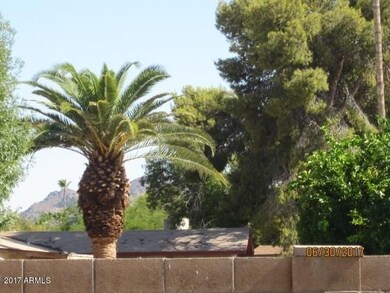 view_from_backyard_phoenix_mountain_pres