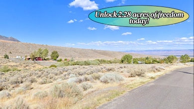 108 Toquima Way, Austin, NV 89310 - photo 3