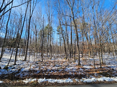 R09-L13-3 Ski Slope Rd, Farmington, ME 04938 - photo 2