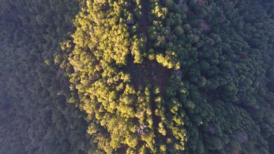 DJI_0195