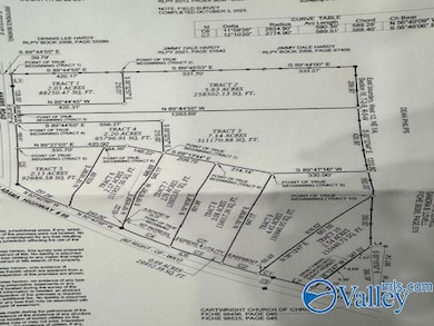 TRACT 7 Alabama 99, Elkmont, AL 35620 - photo 2