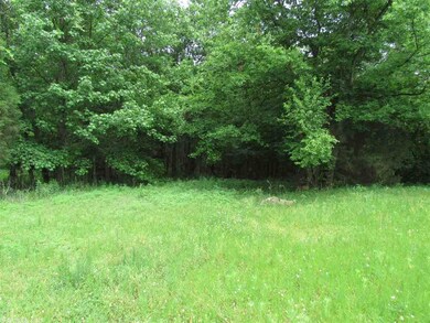 7 Acres County Road 304, Jonesboro, AR 72401 - photo 6