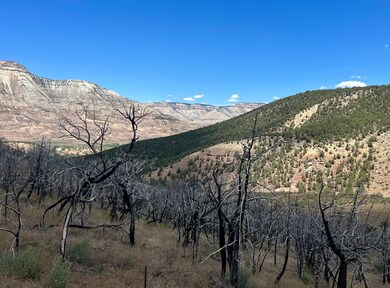 Tbd 2 County Road 300, Battlement Mesa, CO 81635 - photo 4