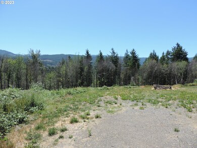 314 Thistledown Ln unit Lot 4, Gates, OR 97346 - photo 3