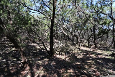 21710 Vale Pass, San Antonio, TX 78255 - photo 5