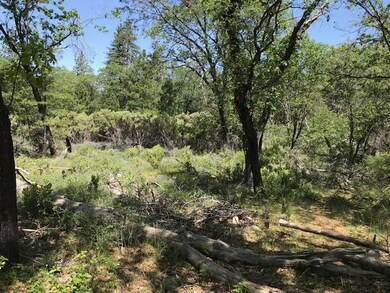 291 Acre property 2