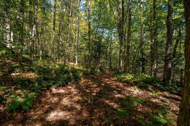 00 Turtle Rock Rd, Stoddard, NH 03464 - photo 2
