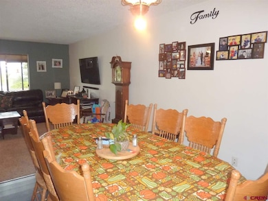 0 NE Daisy Ct, Cedaredge, CO 81413 - photo 7