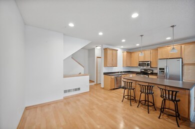 4665 Victor Path unit 7, Hugo, MN 55038 - photo 5