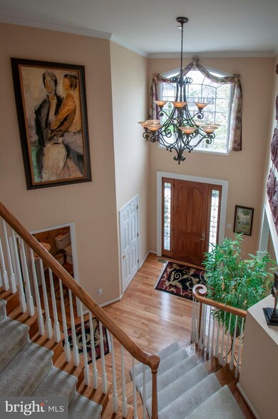 168 Buttercup Blvd, Warrington, PA 18976 - photo 6