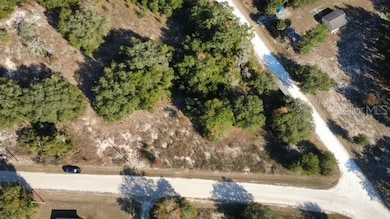 TBD SW 146th Ct, Ocala, FL 34481 - photo 5