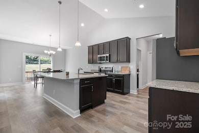 4903 Rio de Luna None, Hickory, NC 28601 - photo 5