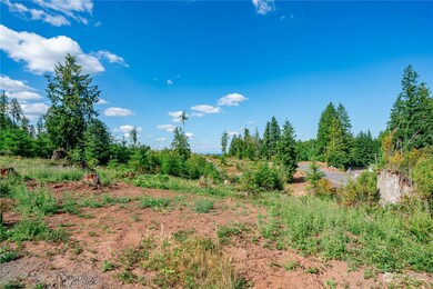 0 Lot 8 S Silver Lake Rd, Castle Rock, WA 98611 - photo 3