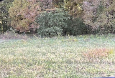 Each lot is flat, with natural woods in back. Beau