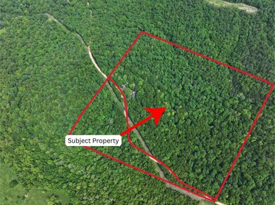 1619a Farm Road Sw4381, Noel, MO 64854 - photo 4