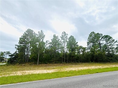 4021 W Malaluka Cir, Dunnellon, FL 34433 - photo 4