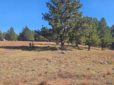 11815 W Argyle Rd, Custer, SD 57730 - photo 7