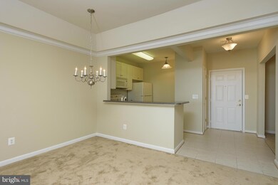 7325 Brookview Rd unit 301, Elkridge, MD 21075 - photo 4