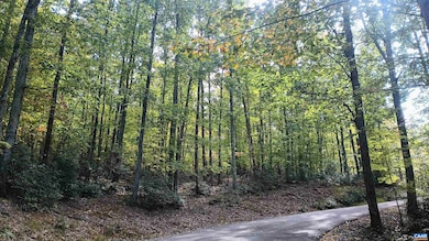 0 Oakcrest Ln unit 671080, Rockfish, VA 22958 - photo 2