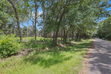 26706 Cherokee Ln, Magnolia, TX 77354 - photo 2