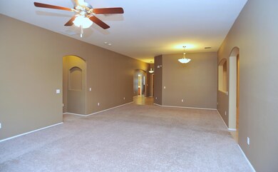 Designer Paint Throughout