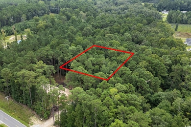 Aerial view of property's location featuring property boundaries highlighted and a heavily wooded area