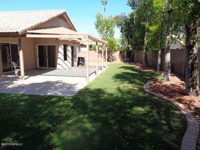 2589 W Sheffield, Chandler, AZ 85224-Bac