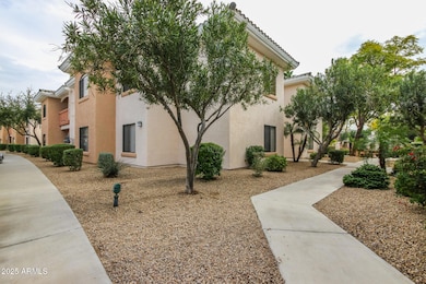 39 Indian School 230