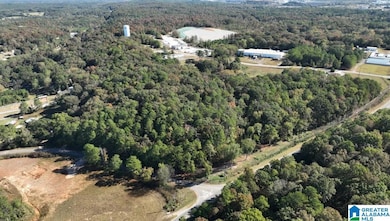 249 Highway 216, Montevallo, AL 35115 - photo 5