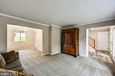 14926 Saddle Creek Dr, Burtonsville, MD 20866 - photo 5