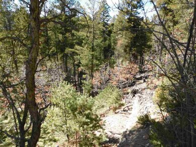 0 Ridgecrest Dr unit 1-3, Alamogordo, NM 88310 - photo 2