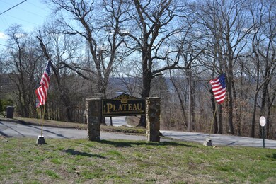 Lot 3 Plateau Ln, Kimberling City, MO 65686 - photo 2