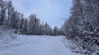 48609 S Tussle Cir, Willow, AK 99688 - photo 6