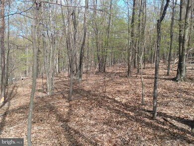 Lot 83 Roundtop Ln, Berkeley Springs, WV 25411 - photo 3