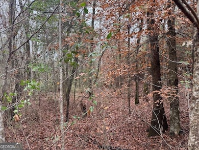 60.06 AC. Daisy Walker Rd, Tennille, GA 31089 - photo 3